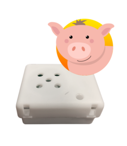 Pig Sound Box