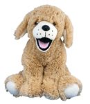 Dogs