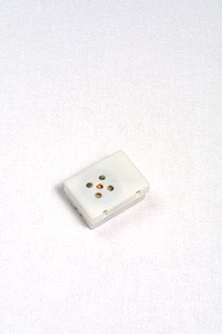 Elephant Sound - Image 2