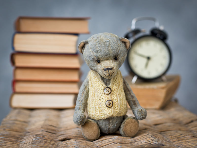 teddy bear teddy reading book in the library