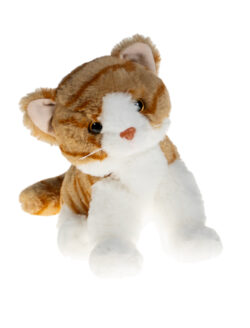 8" Creamsicle The Tabby Cat
