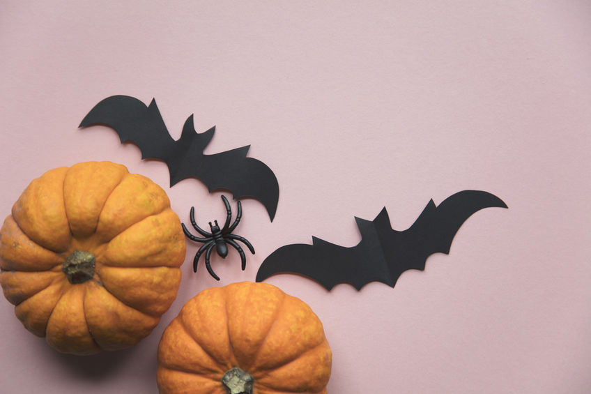 Halloween decorations on pastel pink background. flat lay, pumpkins, spiders and bats